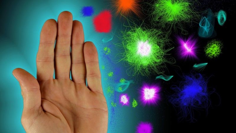 immunsystem 01 800×450